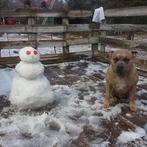 Meet your Posher, Wes